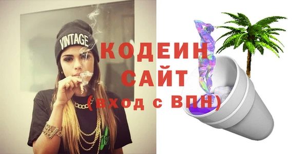 молекула духа Лабытнанги