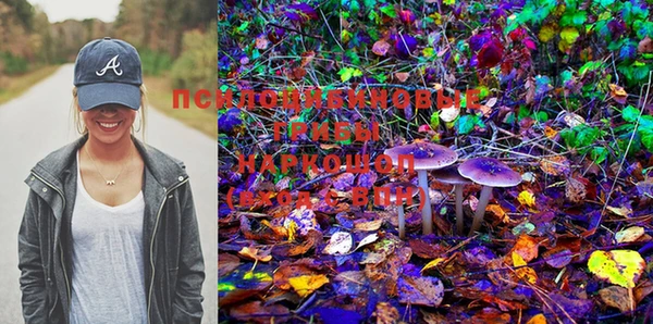 молекула духа Лабытнанги