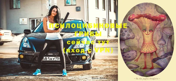 молекула духа Лабытнанги