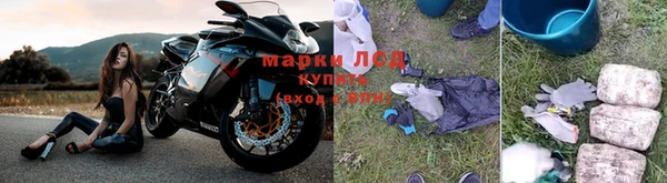 молекула духа Лабытнанги