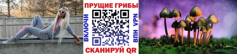 Купить  Ачинск  Галлюциногенные грибы ЛСД 